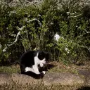 jspinky rioのプロフィール画像