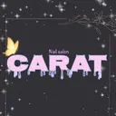 CARAT/ Rinaのプロフィール画像