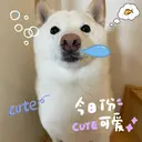 Ru na🍳のプロフィール画像