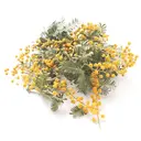 宮原 なつのプロフィール画像