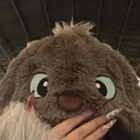 zina 千葉2nd NONのプロフィール画像