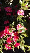 MayuBee 赤阪見附店のプロフィール画像