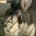 宇沙美 ウサミのプロフィール画像