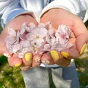 魚住美天　ネイリ ストUNELMA所属のプロフィール画像