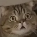 り おのプロフィール画像