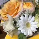 杉村 咲音のプロフィール画像