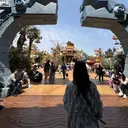 mon ナカニシのプロフィール画像