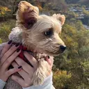 Non Nonのプロフィール画像