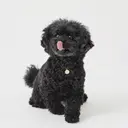 eyeHbe まつげと眉毛のサロンのプロフィール画像