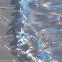 tomomi .のプロフィール画像