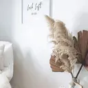 ワンホン＆パリジェン アンドヘルシー＆下のプロフィール画像