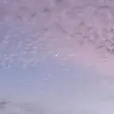 Eden Hiyoriのプロフィール画像