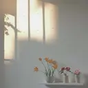 川口 明日菜のプロフィール画像