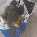 野田 京七のプロフィール画像