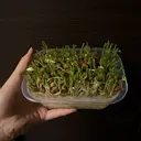 石山 歩果のプロフィール画像