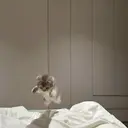 マリーテレジア TAMURA.nのプロフィール画像