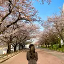 LOPI miyukiのプロフィール画像