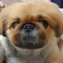 荒井 湖乃美のプロフィール画像