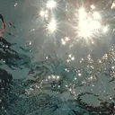 filonnail yurino🕊のプロフィール画像