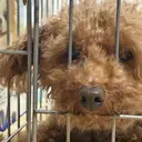 吉田 想良のプロフィール画像