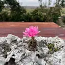 ネイリスト TAKAHASHIのプロフィール画像