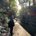 荒川 真悟のプロフィール画像