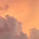 foret yurikoのプロフィール画像