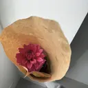 Rinata 住田のプロフィール画像