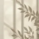 Roziy asukaのプロフィール画像