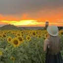 Lumina yutoriのプロフィール画像