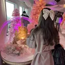 倉敷ココアイココツメ kumamoto🪽のプロフィール画像