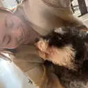 Embellir くらつぼのプロフィール画像