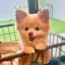 無料マツエク募集中❕ 伊藤くるみのプロフィール画像