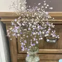 Gypsoly ☺︎ゆきのプロフィール画像