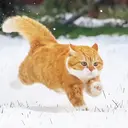 李 冉のプロフィール画像