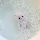 kinoshita Mのプロフィール画像