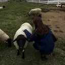 神田 瑠衣のプロフィール画像