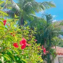 三ツ境ネイル💅 津山のプロフィール画像