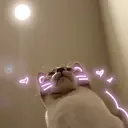 Moe. Pinklagoonのプロフィール画像