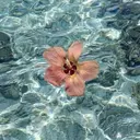 napeyelash MAIのプロフィール画像