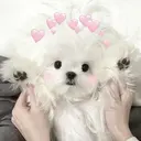 💕中川 結衣💕のプロフィール画像