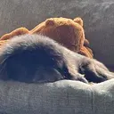 Suzuki gakutoのプロフィール画像