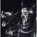 masui shionのプロフィール画像