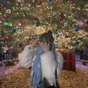 太田 琴音のプロフィール画像