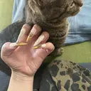 nail K mihaneのプロフィール画像