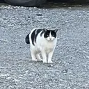 fujitsuka △yukakoのプロフィール画像