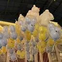 荒木 俐穂のプロフィール画像