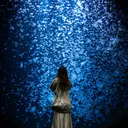 今田 飛奈のプロフィール画像