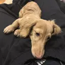 岡 和那のプロフィール画像