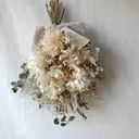 enn.. mayuのプロフィール画像